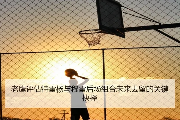 老鹰评估特雷杨与穆雷后场组合未来去留的关键抉择