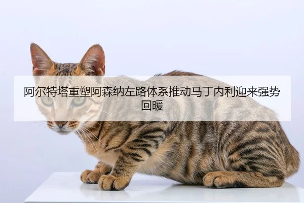 阿尔特塔重塑阿森纳左路体系推动马丁内利迎来强势回暖